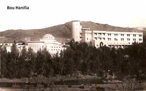 Bou Hanifia 608